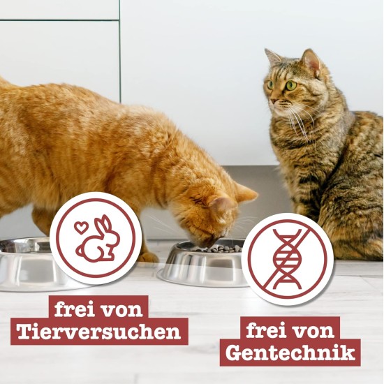 catz finefood Senior N°03 Chicken Cat Food Wet - Premium Wet Food for Your Senior Cat - Grain-Free, No Sugar, High Meat Content, Vitamins and Minerals (6 x 200 g Tub) catz finefood Senior N°03 Chicken Cat Food Wet - Premium Wet Food for Your Senior Cat - Grain-Free, No Sugar, High Meat Content, Vitamins and Minerals (6 x 200 g Tub)
