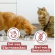 catz finefood Senior N°03 Chicken Cat Food Wet - Premium Wet Food for Your Senior Cat - Grain-Free, No Sugar, High Meat Content, Vitamins and Minerals (6 x 200 g Tub) catz finefood Senior N°03 Chicken Cat Food Wet - Premium Wet Food for Your Senior Cat - Grain-Free, No Sugar, High Meat Content, Vitamins and Minerals (6 x 200 g Tub)