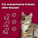 vom Feinsten Senior Cat Food Wet Wet Food Variety (32 x 100 g), Cat Food from 7 Years by animonda, without Grains and Sugar, with Fresh, Meaty Ingredients vom Feinsten Senior Cat Food Wet Wet Food Variety (32 x 100 g), Cat Food from 7 Years by animonda, without Grains and Sugar, with Fresh, Meaty Ingredients