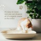 Almo Nature Natural Cat Litter - Klumpende Katzenstreu, biologisch abbaubar, spült die Toilette hinunter, 100% pflanzlich, langanhaltender Anti-Geruchs-Sand. Grain Texture Sack 4Kg Almo Nature Natural Cat Litter - Klumpende Katzenstreu, biologisch abbaubar, spült die Toilette hinunter, 100% pflanzlich, langanhaltender Anti-Geruchs-Sand. Grain Texture Sack 4Kg