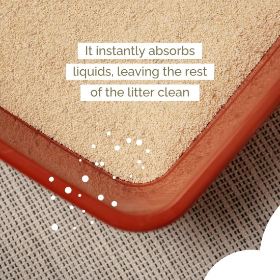 Almo Nature Natural Cat Litter - Klumpende Katzenstreu, biologisch abbaubar, spült die Toilette hinunter, 100% pflanzlich, langanhaltender Anti-Geruchs-Sand. Grain Texture Sack 4Kg Almo Nature Natural Cat Litter - Klumpende Katzenstreu, biologisch abbaubar, spült die Toilette hinunter, 100% pflanzlich, langanhaltender Anti-Geruchs-Sand. Grain Texture Sack 4Kg