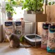 Biokat's Classic 3-in-1 Unscented Clumping Cat Litter with 3 Different Grain Sizes - 1 Bag (1 x 10 L) Biokat's Classic 3-in-1 Unscented Clumping Cat Litter with 3 Different Grain Sizes - 1 Bag (1 x 10 L)