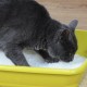 Croci Easy Clean Green Apple - Silicon Cat Litter - Sand for Cats Made of Pebble Crystals with Green Apple - Cat Litter with High Absorbency and Quick Clean 7.5L Croci Easy Clean Green Apple - Silicon Cat Litter - Sand for Cats Made of Pebble Crystals with Green Apple - Cat Litter with High Absorbency and Quick Clean 7.5L