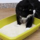 Croci Tofu Clean Litter 10L - Clumping Cat Litter, Biodegradable, Flushes in the Toilet, 100% Plant-Based, Durable Odour Resistant Sand Croci Tofu Clean Litter 10L - Clumping Cat Litter, Biodegradable, Flushes in the Toilet, 100% Plant-Based, Durable Odour Resistant Sand