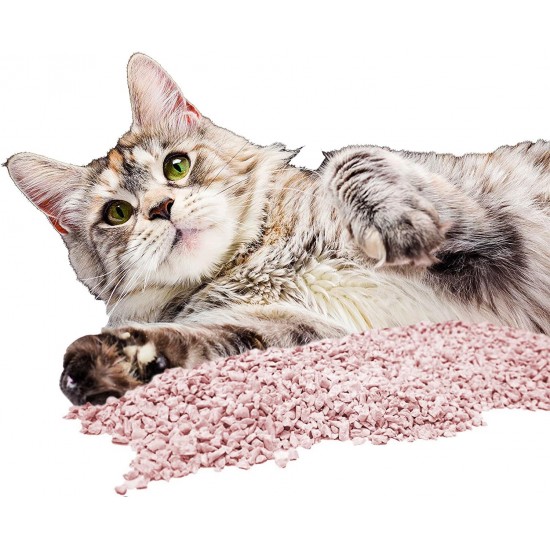 Croci Tofu Clean Litter Cherry Blossom duftend 10L – klumpende Katzenstreu, biologisch abbaubar, spült die Toilette hinunter, 100% pflanzlich, langanhaltender Anti-Geruchs-Sand Croci Tofu Clean Litter Cherry Blossom duftend 10L – klumpende Katzenstreu, biologisch abbaubar, spült die Toilette hinunter, 100% pflanzlich, langanhaltender Anti-Geruchs-Sand