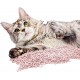 Croci Tofu Clean Litter Cherry Blossom duftend 10L – klumpende Katzenstreu, biologisch abbaubar, spült die Toilette hinunter, 100% pflanzlich, langanhaltender Anti-Geruchs-Sand Croci Tofu Clean Litter Cherry Blossom duftend 10L – klumpende Katzenstreu, biologisch abbaubar, spült die Toilette hinunter, 100% pflanzlich, langanhaltender Anti-Geruchs-Sand