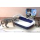 Croci Tofu Clean Litter Cherry Blossom duftend 10L – klumpende Katzenstreu, biologisch abbaubar, spült die Toilette hinunter, 100% pflanzlich, langanhaltender Anti-Geruchs-Sand Croci Tofu Clean Litter Cherry Blossom duftend 10L – klumpende Katzenstreu, biologisch abbaubar, spült die Toilette hinunter, 100% pflanzlich, langanhaltender Anti-Geruchs-Sand