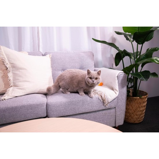 Sanicat Substratos Gravas Y ABSORVENTES Sanicat Classic Marseille Soap - One Size Sanicat Substratos Gravas Y ABSORVENTES Sanicat Classic Marseille Soap - One Size