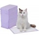 Amazon Basics 40 Pack Disposable Cat Litter Tray Liners with Quick Dry Surface – Purple, Lemon Scented Amazon Basics 40 Pack Disposable Cat Litter Tray Liners with Quick Dry Surface – Purple, Lemon Scented
