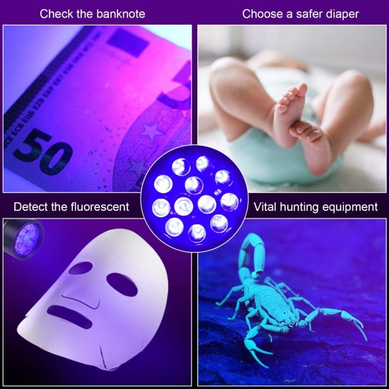 Beinhome UV Torch Black Light Pack of 5 UV Lamp with 12 LEDs 395 nm Pets Urine Detector UV Hand Lamp Light for Dried Urine Stains of Dogs and Cats (Includes 15 AAA Batteries) Beinhome UV Torch Black Light Pack of 5 UV Lamp with 12 LEDs 395 nm Pets Urine Detector UV Hand Lamp Light for Dried Urine Stains of Dogs and Cats (Includes 15 AAA Batteries)