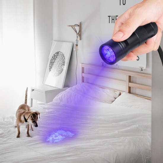 Beinhome UV Torch Black Light Pack of 5 UV Lamp with 12 LEDs 395 nm Pets Urine Detector UV Hand Lamp Light for Dried Urine Stains of Dogs and Cats (Includes 15 AAA Batteries) Beinhome UV Torch Black Light Pack of 5 UV Lamp with 12 LEDs 395 nm Pets Urine Detector UV Hand Lamp Light for Dried Urine Stains of Dogs and Cats (Includes 15 AAA Batteries)