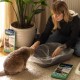 Biokat's Eco Bags XXL - Bag for Display in the Cat Litter Tray for Hygienic Change of Cat Litter - 1 Pack (1 x 12 Bags) Biokat's Eco Bags XXL - Bag for Display in the Cat Litter Tray for Hygienic Change of Cat Litter - 1 Pack (1 x 12 Bags)