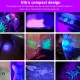 Black Light Torch, 395 Nm Black Light Torch, Mini Pet Urine Detector Light for Dogs, Cats Urine, Dry Spots, Bed Bugs, Stain Detector Black Light Torch, 395 Nm Black Light Torch, Mini Pet Urine Detector Light for Dogs, Cats Urine, Dry Spots, Bed Bugs, Stain Detector