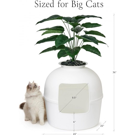 Bundle & Bliss Secret Cat Litter Tray - Hidden Cat Litter Tray Enclosure, Patented Design with Odour Control, Includes Artificial Plant, Carbon Filter and Real Stones, Vivid White Bundle & Bliss Secret Cat Litter Tray - Hidden Cat Litter Tray Enclosure, Patented Design with Odour Control, Includes Artificial Plant, Carbon Filter and Real Stones, Vivid White