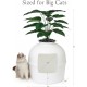 Bundle & Bliss Secret Cat Litter Tray - Hidden Cat Litter Tray Enclosure, Patented Design with Odour Control, Includes Artificial Plant, Carbon Filter and Real Stones, Vivid White Bundle & Bliss Secret Cat Litter Tray - Hidden Cat Litter Tray Enclosure, Patented Design with Odour Control, Includes Artificial Plant, Carbon Filter and Real Stones, Vivid White