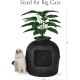 Bundle & Bliss Secret Cat Litter Tray - Hidden Cat Litter Tray with Odour Control, Carbon Filter, Artificial Plant and Real Stones, Perfect for Large Cats (Matte Black) Bundle & Bliss Secret Cat Litter Tray - Hidden Cat Litter Tray with Odour Control, Carbon Filter, Artificial Plant and Real Stones, Perfect for Large Cats (Matte Black)