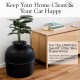 Bundle & Bliss Secret Cat Litter Tray - Hidden Cat Litter Tray with Odour Control, Carbon Filter, Artificial Plant and Real Stones, Perfect for Large Cats (Matte Black) Bundle & Bliss Secret Cat Litter Tray - Hidden Cat Litter Tray with Odour Control, Carbon Filter, Artificial Plant and Real Stones, Perfect for Large Cats (Matte Black)