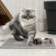 Cat Litter Tray Mat 40 x 50 cm Double Layer Non-Slip Cat Litter Mat Mat Honeycomb Design Cat Litter Tray Mat Waterproof Cat Litter Mat for Waterproof Cat Litter Tray Liner Cat Litter Tray Mat 40 x 50 cm Double Layer Non-Slip Cat Litter Mat Mat Honeycomb Design Cat Litter Tray Mat Waterproof Cat Litter Mat for Waterproof Cat Litter Tray Liner