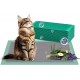 Cat Litter Tray Pads Lavender Scented 16.9 x 11.4 Inch Odour Control with Activated Carbon for Breeze Box - Pack of 20 - Green Cat Litter Tray Pads Lavender Scented 16.9 x 11.4 Inch Odour Control with Activated Carbon for Breeze Box - Pack of 20 - Green