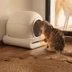 Cecotec Pumba 8000 CleanKitty Smart Self-Cleaning Cat Litter Tray 18 W, 9 L Capacity, Triple Deodorisation System, WiFi Control and Display, Quiet and Safe with Infrared Sensor Cecotec Pumba 8000 CleanKitty Smart Self-Cleaning Cat Litter Tray 18 W, 9 L Capacity, Triple Deodorisation System, WiFi Control and Display, Quiet and Safe with Infrared Sensor
