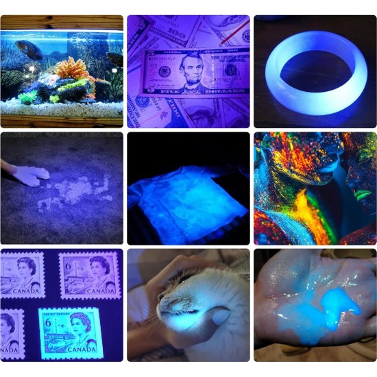 DARKBEAM Torch Double UV Light 365nm & 395nm Rechargeable, Woodsche Lamp Black Light Torches Mini Hand LED Ultraviolet Light, Pet Urine Detectors, Amber, Resin, Pack of 1 DARKBEAM Torch Double UV Light 365nm & 395nm Rechargeable, Woodsche Lamp Black Light Torches Mini Hand LED Ultraviolet Light, Pet Urine Detectors, Amber, Resin, Pack of 1