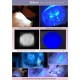 DARKBEAM Torch Double UV Light 365nm & 395nm Rechargeable, Woodsche Lamp Black Light Torches Mini Hand LED Ultraviolet Light, Pet Urine Detectors, Amber, Resin, Pack of 1 DARKBEAM Torch Double UV Light 365nm & 395nm Rechargeable, Woodsche Lamp Black Light Torches Mini Hand LED Ultraviolet Light, Pet Urine Detectors, Amber, Resin, Pack of 1
