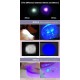 DARKBEAM Torch Double UV Light 365nm & 395nm Rechargeable, Woodsche Lamp Black Light Torches Mini Hand LED Ultraviolet Light, Pet Urine Detectors, Amber, Resin, Pack of 1 DARKBEAM Torch Double UV Light 365nm & 395nm Rechargeable, Woodsche Lamp Black Light Torches Mini Hand LED Ultraviolet Light, Pet Urine Detectors, Amber, Resin, Pack of 1