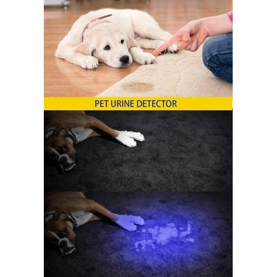 DARKBEAM Torch Double UV Light 365nm & 395nm Rechargeable, Woodsche Lamp Black Light Torches Mini Hand LED Ultraviolet Light, Pet Urine Detectors, Amber, Resin, Pack of 1 DARKBEAM Torch Double UV Light 365nm & 395nm Rechargeable, Woodsche Lamp Black Light Torches Mini Hand LED Ultraviolet Light, Pet Urine Detectors, Amber, Resin, Pack of 1