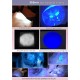 DARKBEAM Torch Double UV Light 365nm & 395nm Rechargeable, Woodsche Lamp Black Light Torches Mini Hand LED Ultraviolet Light, Pet Urine Detectors, Amber, Resin, Pack of 1 DARKBEAM Torch Double UV Light 365nm & 395nm Rechargeable, Woodsche Lamp Black Light Torches Mini Hand LED Ultraviolet Light, Pet Urine Detectors, Amber, Resin, Pack of 1