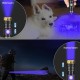 DARKBEAM UV 395 nm Black Light Torch USB Rechargeable Wooden Lamp, Mini Handheld Ultraviolet Black Light LED Portable with Clip, Hardening Resin, Stains, Amber DARKBEAM UV 395 nm Black Light Torch USB Rechargeable Wooden Lamp, Mini Handheld Ultraviolet Black Light LED Portable with Clip, Hardening Resin, Stains, Amber