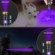 DARKBEAM UV 395 nm Black Light Torch USB Rechargeable Wooden Lamp, Mini Handheld Ultraviolet Black Light LED Portable with Clip, Hardening Resin, Stains, Amber DARKBEAM UV 395 nm Black Light Torch USB Rechargeable Wooden Lamp, Mini Handheld Ultraviolet Black Light LED Portable with Clip, Hardening Resin, Stains, Amber
