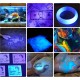 DARKBEAM UV Torch Black Light 365nm & 395nm Rechargeable Woodsche Lamp USB Black Light Torches Mini Hand LED Ultraviolet Light Pet Urine Detectors Amber Resin Pack of 2 DARKBEAM UV Torch Black Light 365nm & 395nm Rechargeable Woodsche Lamp USB Black Light Torches Mini Hand LED Ultraviolet Light Pet Urine Detectors Amber Resin Pack of 2