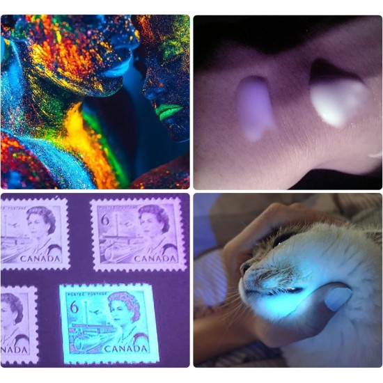 DARKBEAM UV Torch Black Light 365nm & 395nm Rechargeable Woodsche Lamp USB Black Light Torches Mini Hand LED Ultraviolet Light Pet Urine Detectors Amber Resin Pack of 2 DARKBEAM UV Torch Black Light 365nm & 395nm Rechargeable Woodsche Lamp USB Black Light Torches Mini Hand LED Ultraviolet Light Pet Urine Detectors Amber Resin Pack of 2