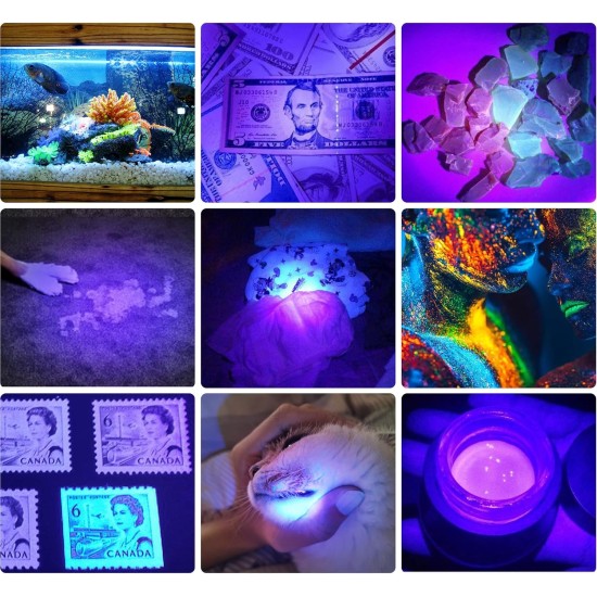 DARKBEAM UV Torch Black Light 365nm & 395nm Rechargeable Woodsche Lamp USB Black Light Torches Mini Hand LED Ultraviolet Light Pet Urine Detectors Amber Resin Pack of 2 DARKBEAM UV Torch Black Light 365nm & 395nm Rechargeable Woodsche Lamp USB Black Light Torches Mini Hand LED Ultraviolet Light Pet Urine Detectors Amber Resin Pack of 2