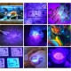 DARKBEAM UV Torch Black Light 365nm & 395nm Rechargeable Woodsche Lamp USB Black Light Torches Mini Hand LED Ultraviolet Light Pet Urine Detectors Amber Resin Pack of 2 DARKBEAM UV Torch Black Light 365nm & 395nm Rechargeable Woodsche Lamp USB Black Light Torches Mini Hand LED Ultraviolet Light Pet Urine Detectors Amber Resin Pack of 2