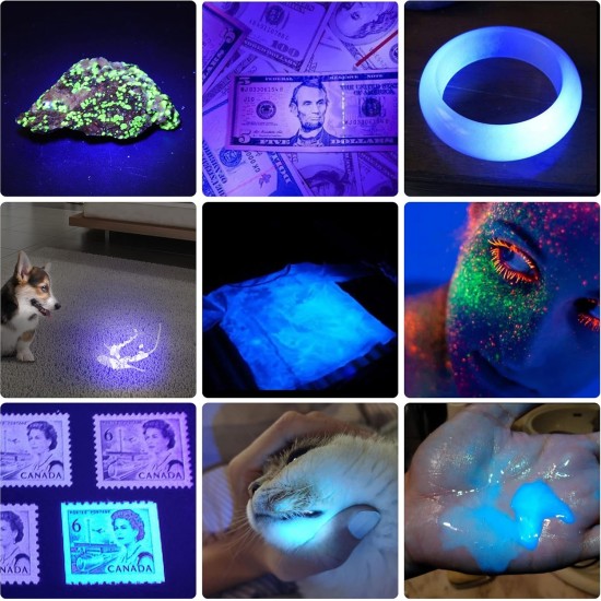 DARKBEAM UV Torch Black Light 365nm & 395nm Rechargeable Woodsche Lamp USB Black Light Torches Mini Hand LED Ultraviolet Light Pet Urine Detectors Amber Resin Pack of 2 DARKBEAM UV Torch Black Light 365nm & 395nm Rechargeable Woodsche Lamp USB Black Light Torches Mini Hand LED Ultraviolet Light Pet Urine Detectors Amber Resin Pack of 2