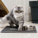 ERHAOG Cat Litter Tray Mat 45 x 30 cm - Double Layer Waterproof Design Cat Mat Cat Litter Tray Mat Mat Cat Litter Tray for Toilet ERHAOG Cat Litter Tray Mat 45 x 30 cm - Double Layer Waterproof Design Cat Mat Cat Litter Tray Mat Mat Cat Litter Tray for Toilet