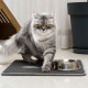 ERHAOG Cat Litter Tray Mat 45 x 30 cm - Double Layer Waterproof Design Cat Mat Cat Litter Tray Mat Mat Cat Litter Tray for Toilet ERHAOG Cat Litter Tray Mat 45 x 30 cm - Double Layer Waterproof Design Cat Mat Cat Litter Tray Mat Mat Cat Litter Tray for Toilet