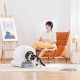 EZICLEAN Catbot K8i Cat Litter Tray Self-Cleaning with Networking EZICLEAN Catbot K8i Cat Litter Tray Self-Cleaning with Networking