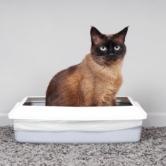 Ecobag 10 Pack Cat Litter Tray Liners 30L 27 Micron Heavy Duty Cat Litter Box Bags Recycled Liners Durable Eco Friendly and Easy to Dispose (960 x 460mm) Ecobag 10 Pack Cat Litter Tray Liners 30L 27 Micron Heavy Duty Cat Litter Box Bags Recycled Liners Durable Eco Friendly and Easy to Dispose (960 x 460mm)