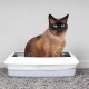Ecobag 10 Pack Cat Litter Tray Liners 30L 27 Micron Heavy Duty Cat Litter Box Bags Recycled Liners Durable Eco Friendly and Easy to Dispose (960 x 460mm) Ecobag 10 Pack Cat Litter Tray Liners 30L 27 Micron Heavy Duty Cat Litter Box Bags Recycled Liners Durable Eco Friendly and Easy to Dispose (960 x 460mm)