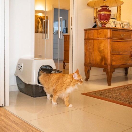 Ferplast Bill Cat Litter Tray with Lid, Cat Litter Tray with Cover, with 2 Anti-Odour Filters, 50 x 40 x 42 cm, Door and Handle Darkened Ferplast Bill Cat Litter Tray with Lid, Cat Litter Tray with Cover, with 2 Anti-Odour Filters, 50 x 40 x 42 cm, Door and Handle Darkened