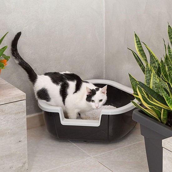 Ferplast Eck-Katzentoilette, Katzenklo, mit hohen Rändern und niedrigem Eingang, 57,5 x 51,5 x H 22 cm, DAMA Ecktoilette, Schwarz Ferplast Eck-Katzentoilette, Katzenklo, mit hohen Rändern und niedrigem Eingang, 57,5 x 51,5 x H 22 cm, DAMA Ecktoilette, Schwarz