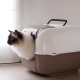 Ferplast Prima Cat Toilet Home, 52.5 x 39.5 x 38 cm, Black Ferplast Prima Cat Toilet Home, 52.5 x 39.5 x 38 cm, Black