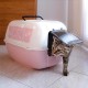 Ferplast Prima Cat Toilet Home, 52.5 x 39.5 x 38 cm, Black Ferplast Prima Cat Toilet Home, 52.5 x 39.5 x 38 cm, Black