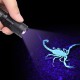 Flashlight Ultraviolet LED Flashlight Light Pet Urine Spot Detector Bed Bug Finder Dog Cat Stain Remover (Batteries Not Included) Flashlight Ultraviolet LED Flashlight Light Pet Urine Spot Detector Bed Bug Finder Dog Cat Stain Remover (Batteries Not Included)