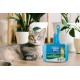 Fresh Step 4 in 1 Deluxe Cleanup Kit