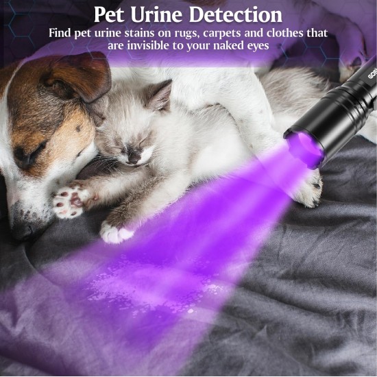 Gofimyee UV Torch Black Light Lamp, Pack of 2 Mini UV Lamp with Adjustable Focus, 395 nm Ultraviolet Lamp for Geocaching, Pet Urine Detectors, Amber Search etc., Includes 2 AA Batteries Gofimyee UV Torch Black Light Lamp, Pack of 2 Mini UV Lamp with Adjustable Focus, 395 nm Ultraviolet Lamp for Geocaching, Pet Urine Detectors, Amber Search etc., Includes 2 AA Batteries