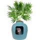 Good Pet Stuff Hidden Cat Litter Tray Good Pet Stuff Hidden Cat Litter Tray