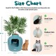 Good Pet Stuff Hidden Cat Litter Tray Good Pet Stuff Hidden Cat Litter Tray